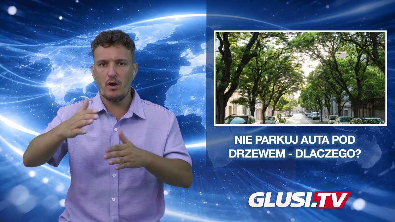 Nie parkuj auta pod drzewem - dlaczego?