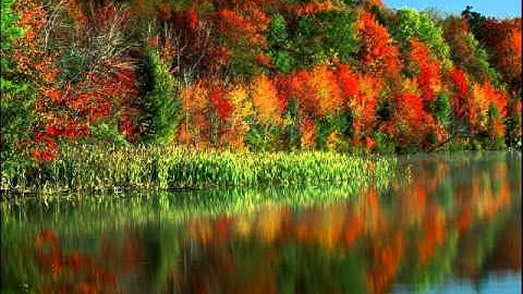 تلاوة للقارئ أحمد النفيسة سورة طه (22)(9)1435