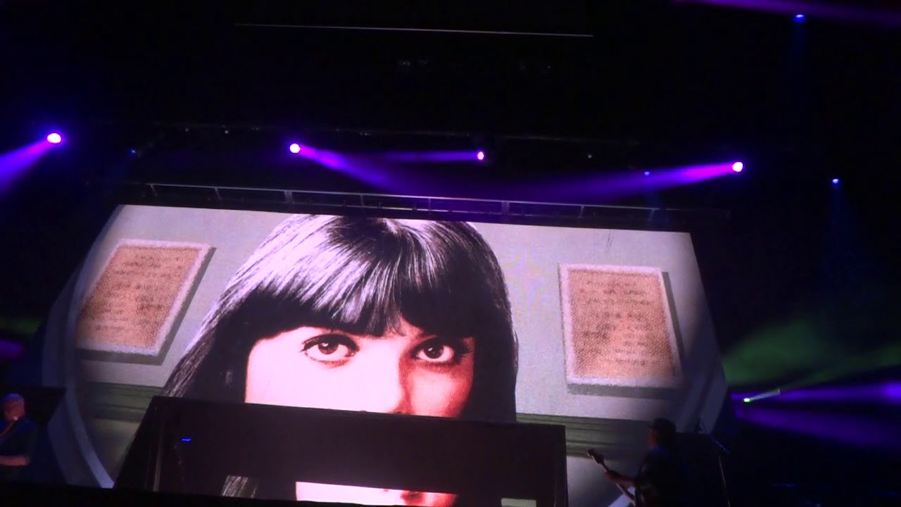 The Bizarre World Of Frank Zappa Stinkfoot 4 28 19 Albany YouTube the-bizarre-world-of-frank-zappa-stinkfoot-4-28-19-albany-youtube