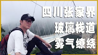 张家界大峡谷玻璃桥，创世界桥梁奇迹，太壮观了！【行走世界的北京老刘】