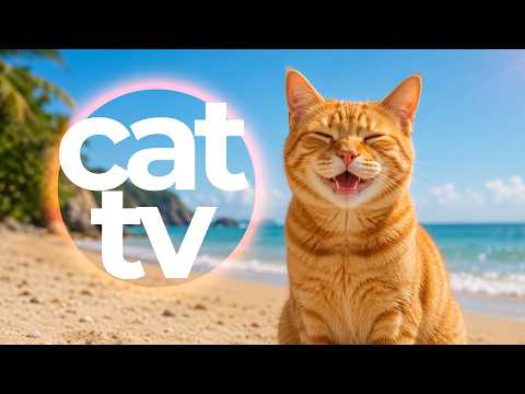 Cat TV for Cats 🐦 10 Hours of Birds, Coral Reefs & Relaxing Music | Entertainment for Indoor Cats