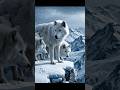 ❄️ White Wolves of the Frozen Mountains 🐺 #WinterWonderland #Cinematic #Shorts #trending #viralvideo