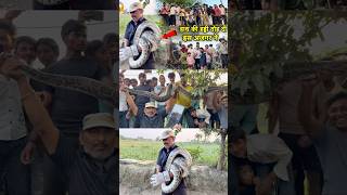 Celebrity Very Big Size Indian Rock Python Rescue 😱@Panchal_Ji_Snake_Expert #shorts Profile