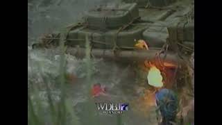 WDBJ-7 (CBS) On Screen ID, February 2001