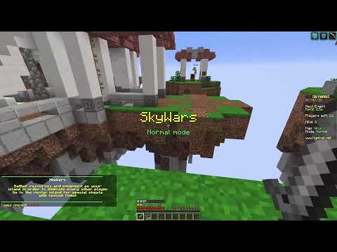 Hypixel Livestream