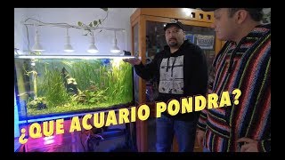 LUISITO REY VIENE A MI CASA A VER LOS ACUARIOS||||||😉🐟🐠🐡