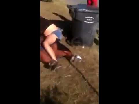Girl Fight No Panties