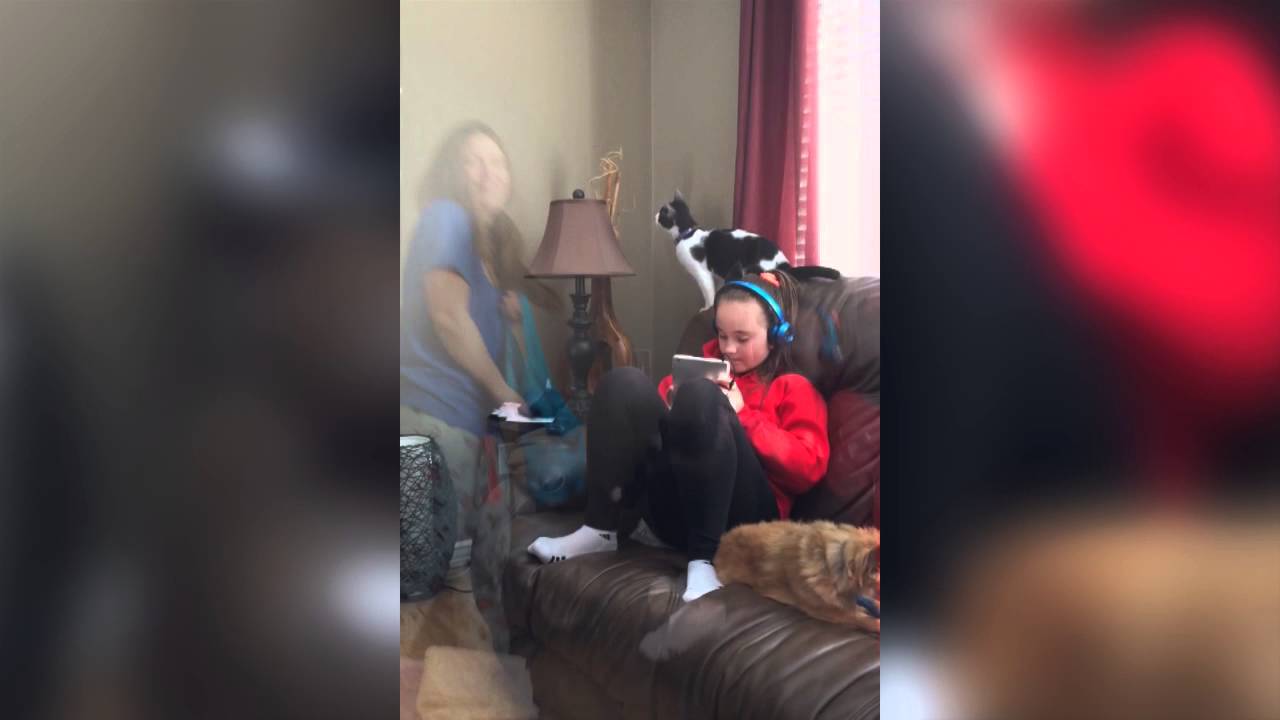 persami smp Cat Falls Attacking Light