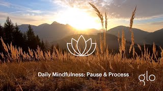 Daily Mindfulness Pause Process