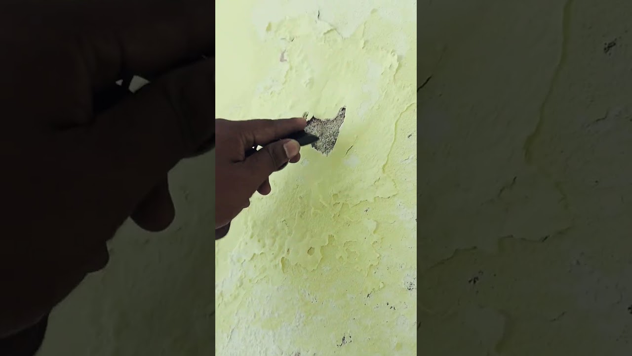 दीवार की बर्बादी//SaltEfflorescence//Moisture Problem//Magnus Buildtech