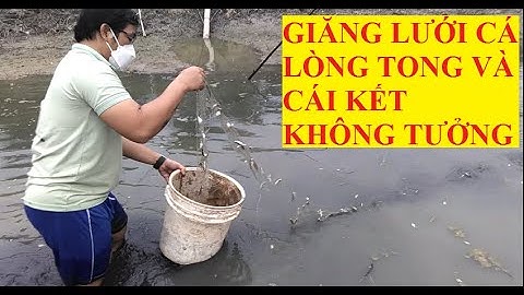 KĨ NĂNG MƯU SINH GIĂNG LƯỚI LÒNG TONG VÀ CÁI KẾT KHÔNG TƯỞNG
