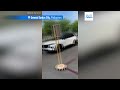 Video: Filippine, crolla tettoia a scuola durante il sisma: studenti in fuga