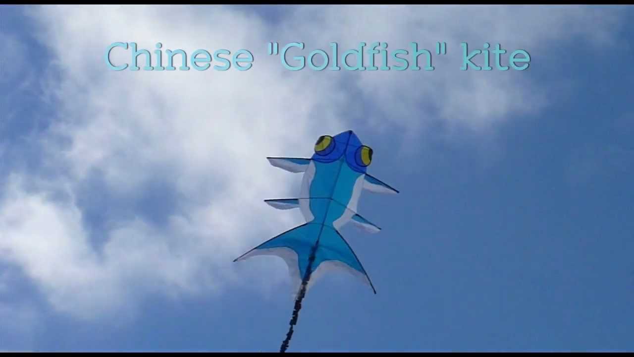Chinese Goldfish kite YouTube