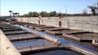 Выращивание осетровых видео Осетровая ферма в Астрахани