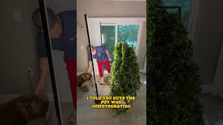 Repotting My Mive Hoya Compacta