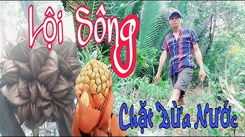 Chè Dừa Nước - Món Ăn Đơn Giản Mà Rất Ngon | Nét Đẹp Dân Dã #48