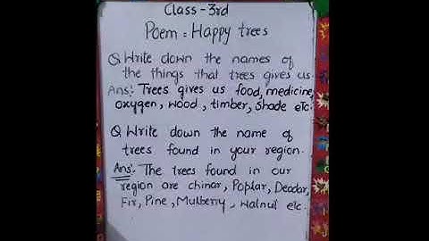 Class 3rd English Chapter Happy trees Textual questions Explanation