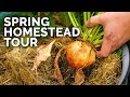 FULL Spring Garden Tour & Harvest! 🥕