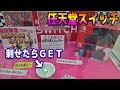 白い小さな玉を刺せたら任天堂スイッチがもらえるクレーンゲーム