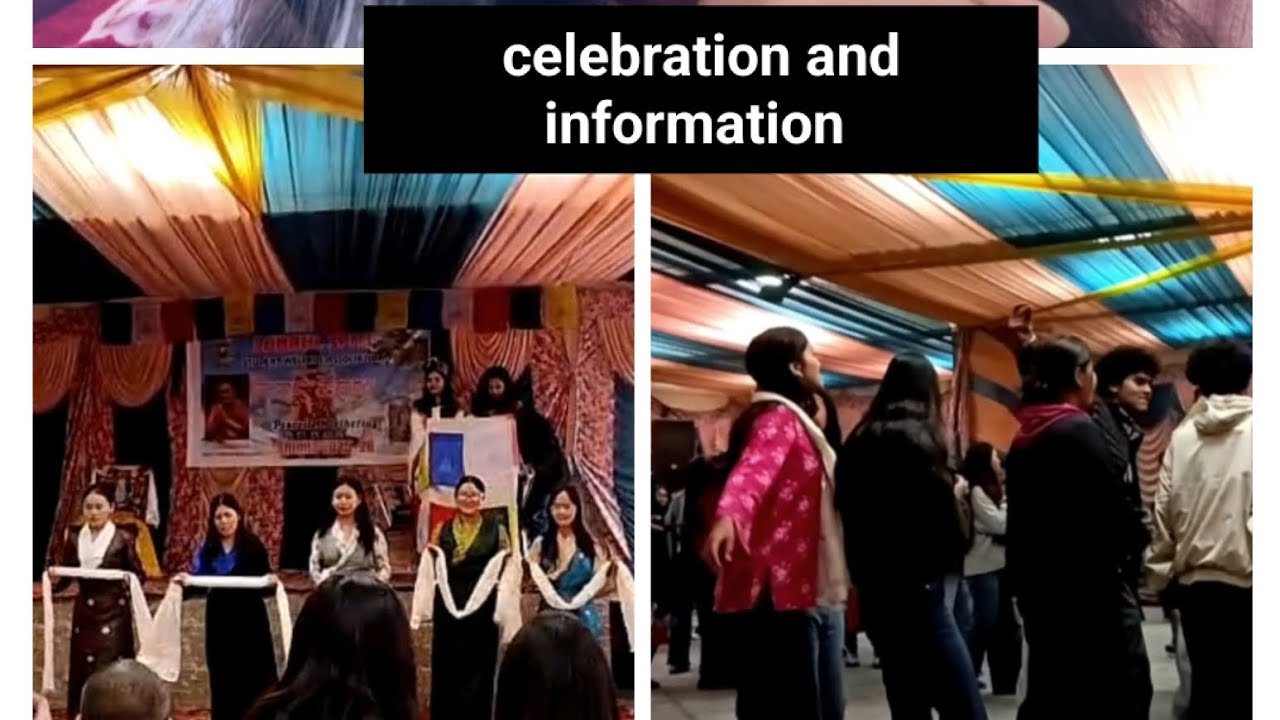 Lsswa 2025 celebration in shimla✨✨✨   #shimla #newvideo #explore #vlog #dance #celebration