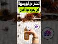 القضاء على البق نهائيا بدون مبيدات