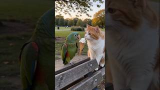 At first he protected his ice cream… then he decided to share 🥺🦜🍦🐈 #Shorts #shortsvideo #animals