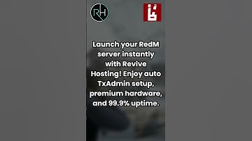 RedM Server Hosting $29 99 Month #redm #reddeadredemption2  #reddeadonline