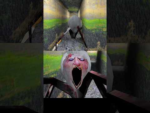 Spider Angelina Vs
