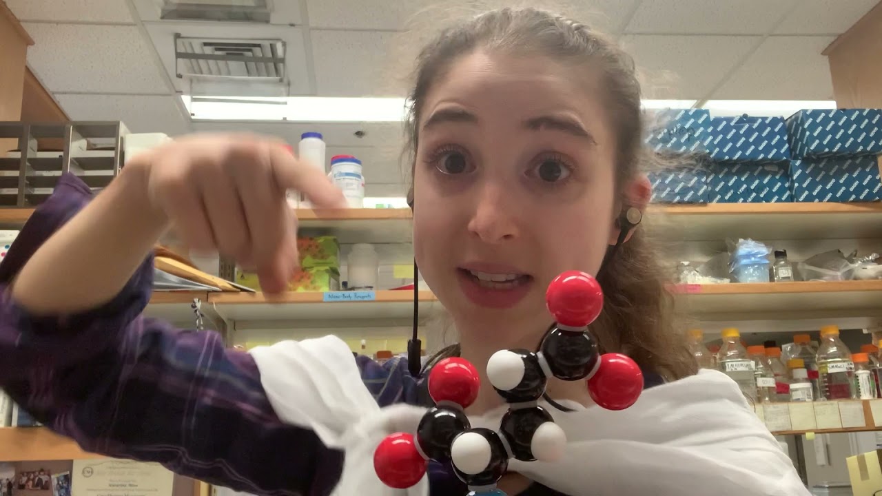 Proteases and their inhibitors - a biochemist's overview of the what, where, when, & how