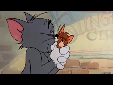 Tom and Jerry kiss compilation