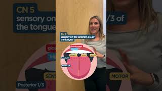 Tongue Innervation Memorization Trick!