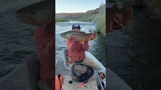 Streamer Lines #flyfishing #streamer #trout #troutfishing #cortland