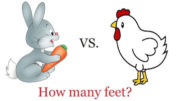 Chicken and Rabbit Problem