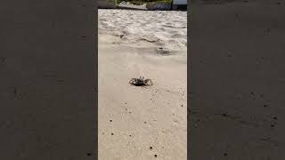 It's a lovely day here in Kapas island