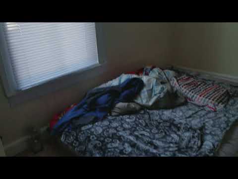 247 Chippewa St., Eau Claire, WI home video tour