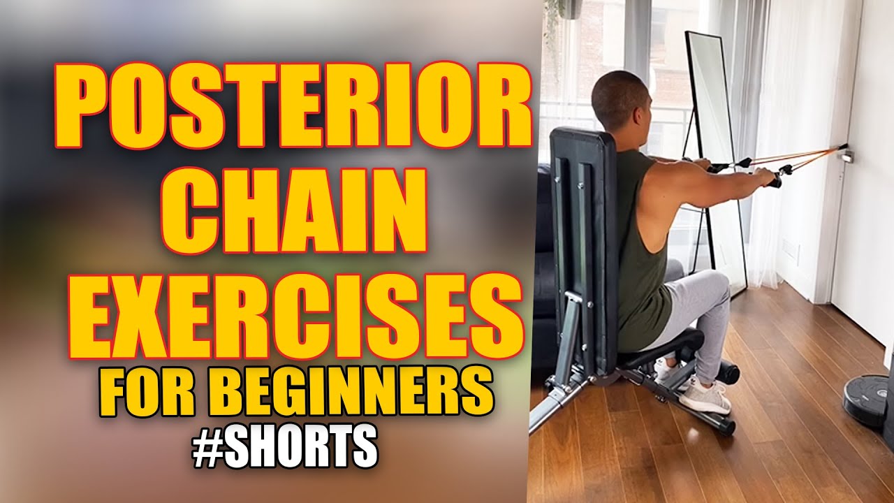 Posterior Chain Exercises For Beginner
