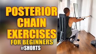 Posterior Chain Exercises For Beginner