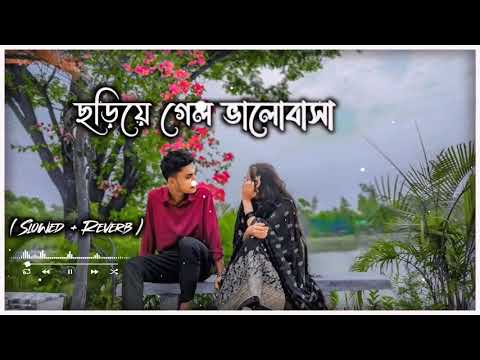 Choriye Gelo Bhalobasa Nil Akasher Gaaye | (Slowed+Reverb)Prosenjit | Anu Chouradhory | Lofi Music |