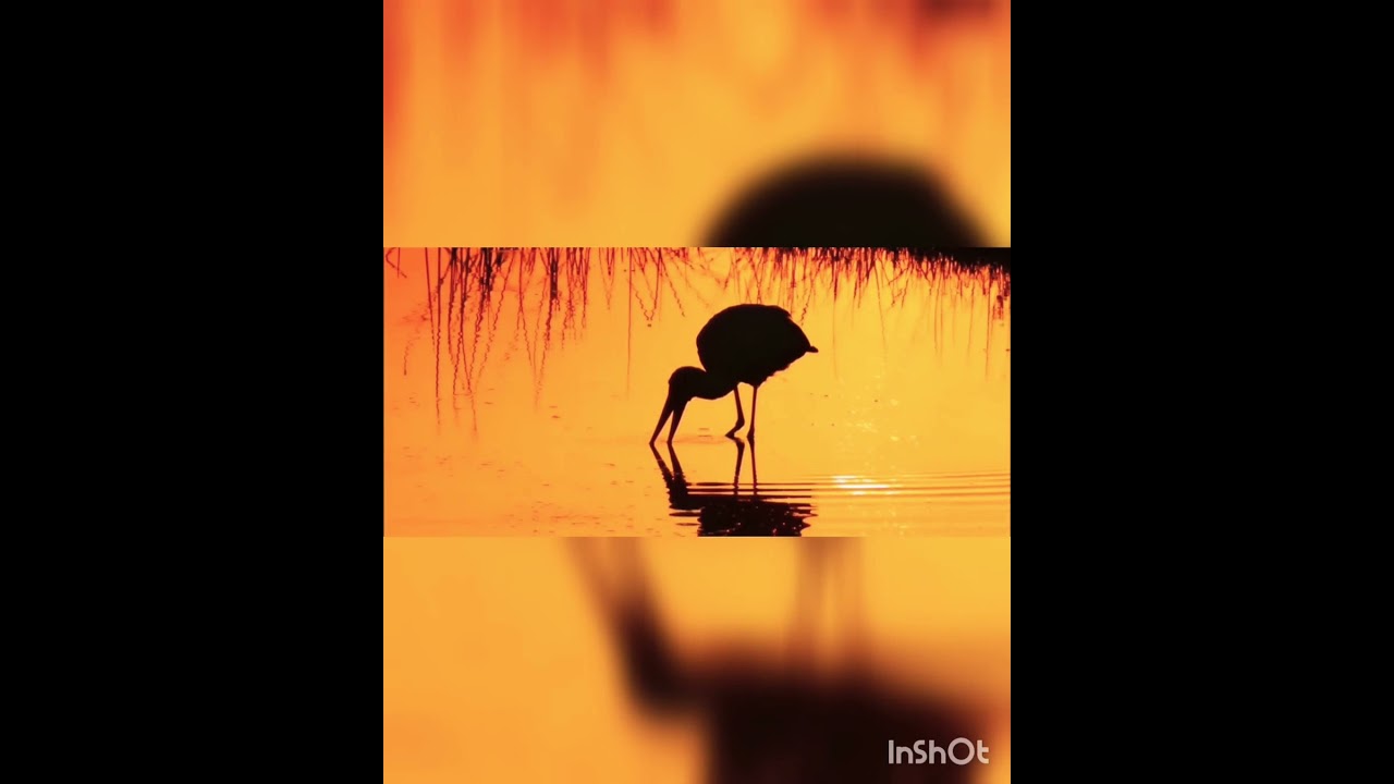 Мы смотрим на мир по-разному...