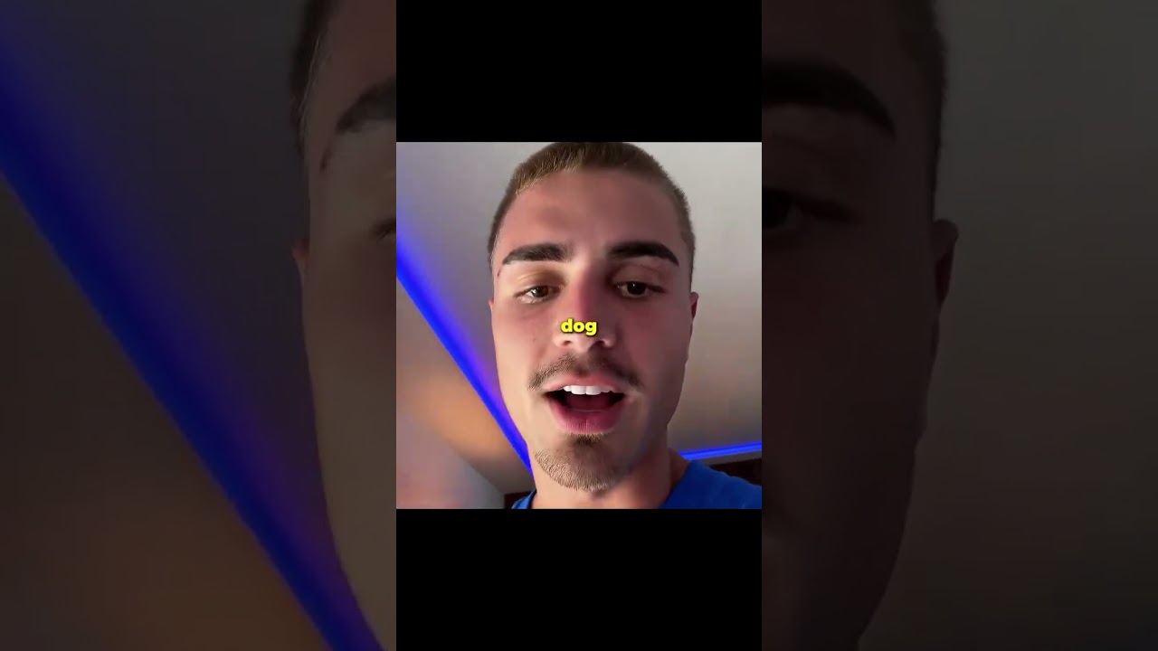 Как выглядит собака за 30 000 долларов💀