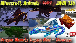 Dragon Mounts Mod 1.16.5 Showcase Tutorial Ride on Dragons Minecraft 1.16.5 Minecraft Animals Ep89 screenshot 3