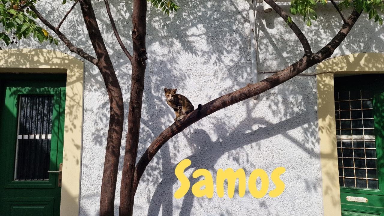 ⁣Samos