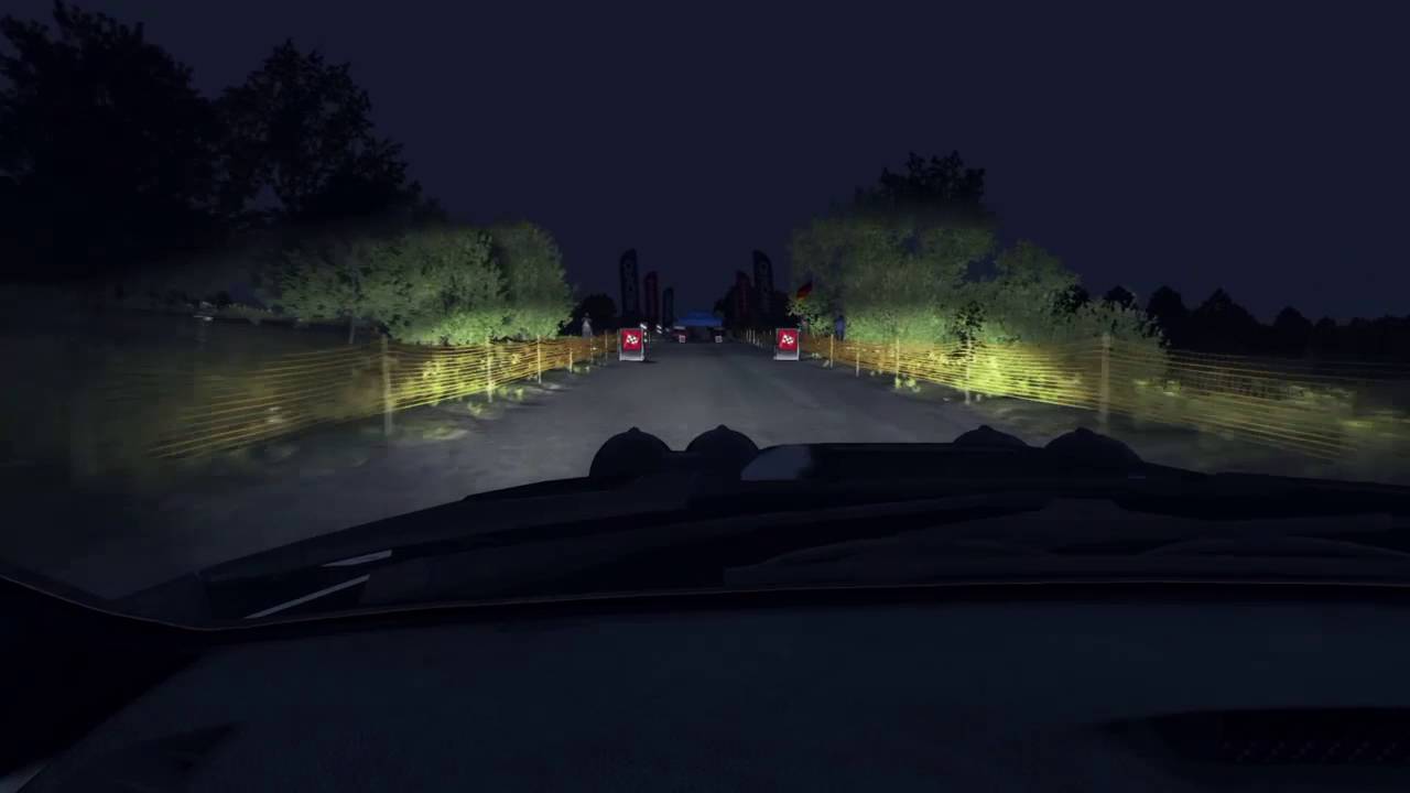 DIRT Rally PS4, Pro Championship. Германия ночной этап HARDCORE