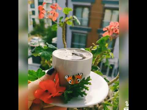 صباح الرومانسية بصوت كاظم الساهر مع فنجان قهوة الصباح