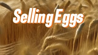 How to Make Money Selling Eggs – Beginner’s Guide
