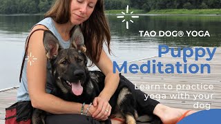 TAO DOG® YOGA Puppy Meditation