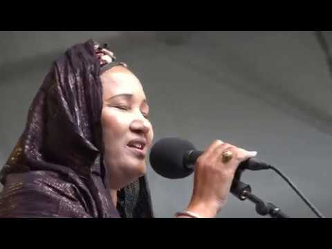 Ali Farka Touré Band Talia LIVE At Afrikafestival Hertme 2017 