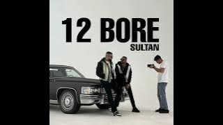 12 Bor : Sultaan (Official Audio) New Punjabi Song 2022 | 12 Bor De Rukan Sultaan New Punjabi Song