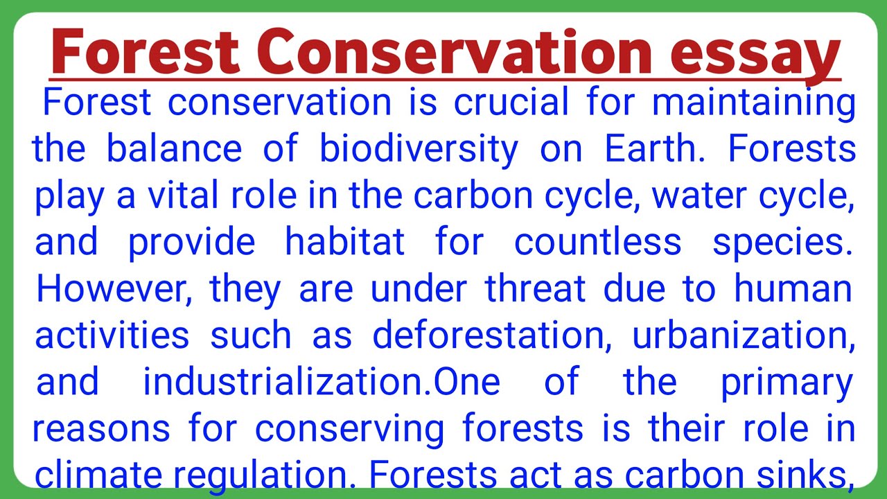 forest Conservation essay|forest Conservation essay in English|forest Conservation essay writing|