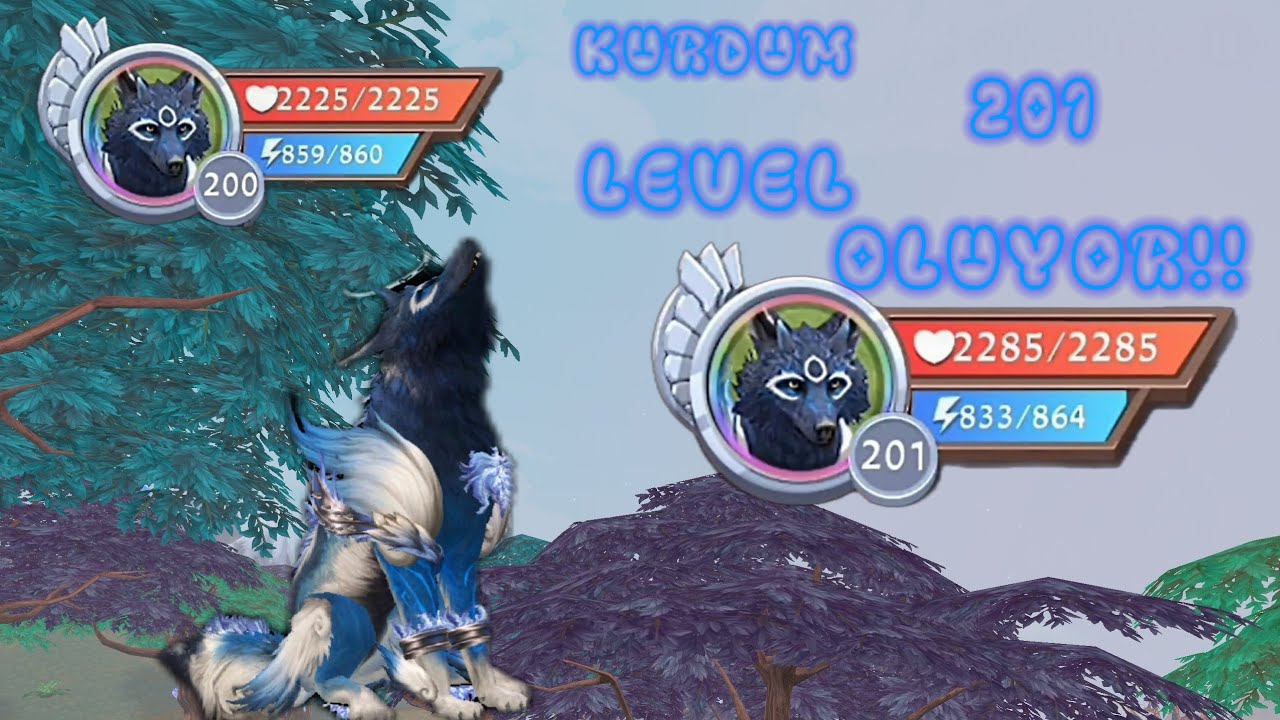 Kurdum 201 level oluyor!!🐺🐺🐺